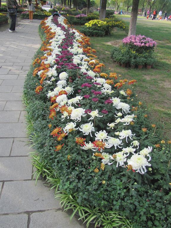 8188cc威尼斯(中国)有限公司官网