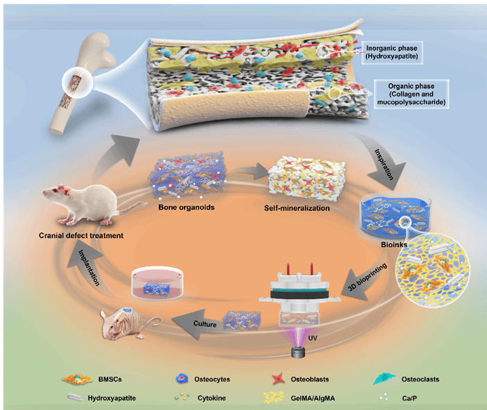 8188cc威尼斯(中国)有限公司官网