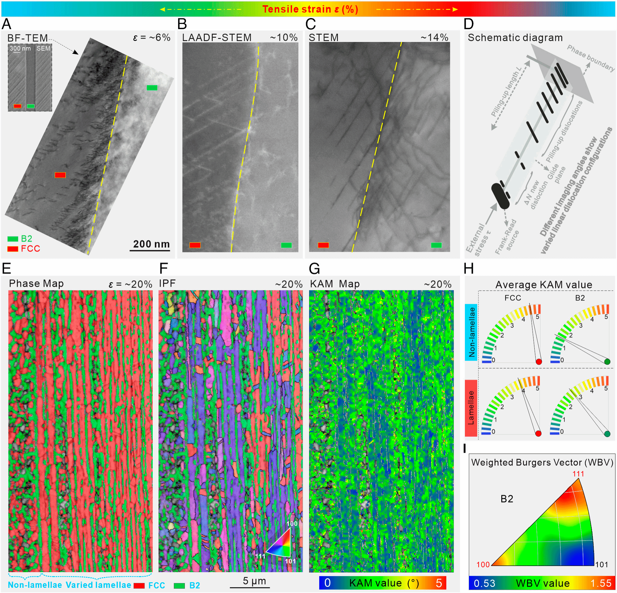 8188cc威尼斯(中国)有限公司官网