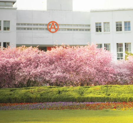 8188cc威尼斯(中国)有限公司官网